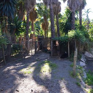 Cassowary Enclosure at Selwo Aventura, 13/03/19