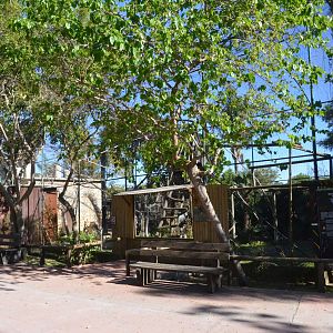 Guereza Enclosure at Selwo Aventura, 13/03/19