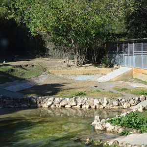 Spotted Hyaena Enclosure at Selwo Aventura, 13/03/19