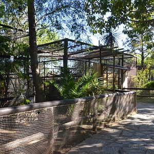 Marmoset/Tamarin Enclosures at Selwo Aventura, 13/03/19