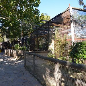Marmoset/Tamarin Enclosures at Selwo Aventura, 13/03/19