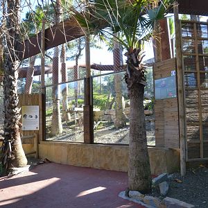 Barbary Macaque Enclosure at Selwo Aventura, 13/03/19