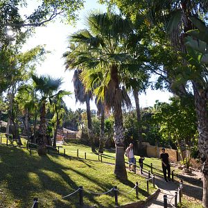 Red-necked Wallaby Walkthrough at Selwo Aventura, 13/03/19