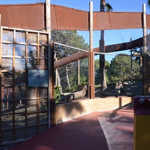 Barbary Macaque Enclosure at Selwo Aventura, 13/03/19