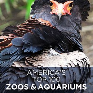 America's Top 100 Zoos & Aquariums