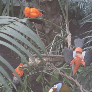 One of These Things is Not Like the Other