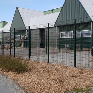 Seperation-enclosures African Savanna