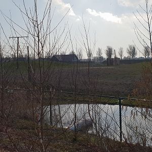 View towards African Savanna