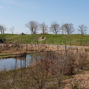 Barbary sheep-enclosure