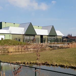 Stables African hoofstock