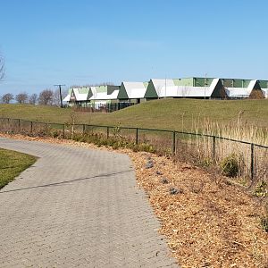 Overview African Savanna