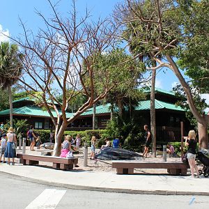 Entrance & Main Building
