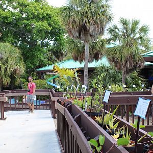 Main Deck and Garden