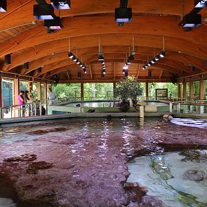 Outdoor Sea Turtle and Fish Tanks