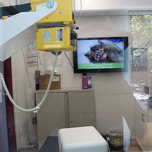 Sea Turtle Surgery Room