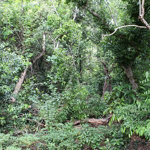 View from Nature Boardwalk