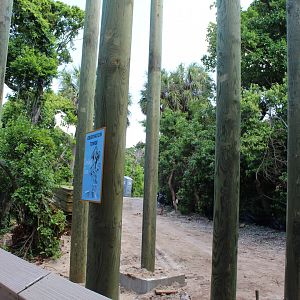 Lookout Tower Construction