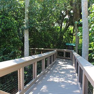 Nature Boardwalk