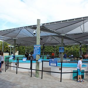 Sea Turtle Rehabilitation Pools