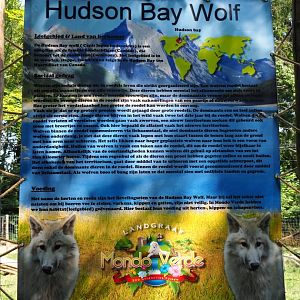 Sign Hudson Bay wolf (Aug 28th, 2018)