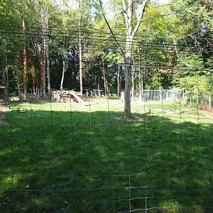 Hudson Bay wolf exhibit (Aug 28th, 2018)