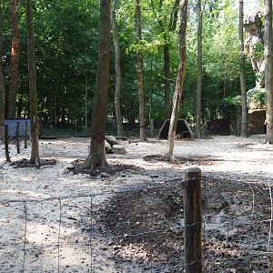 First Bentheim black pied pig pen (Aug 28th, 2018)