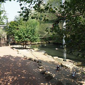 Large aviary - visitor access and duck pool (Aug 28th, 2018)