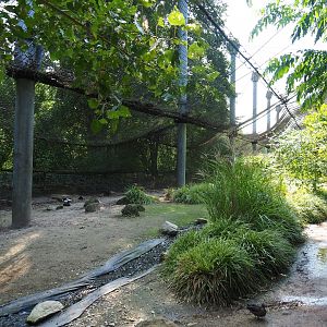 View in large aviary (Aug 28th, 2018)