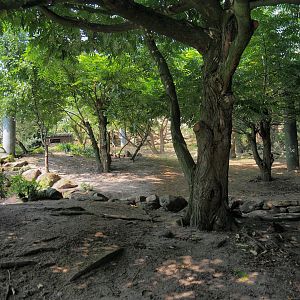 View in large aviary (Aug 28th, 2018)