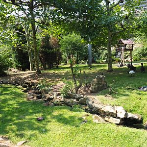 View in large aviary (Aug 28th, 2018)