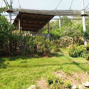 View in large aviary (Aug 28th, 2018)