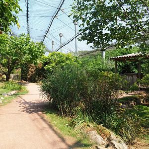 View in large aviary (Aug 28th, 2018)