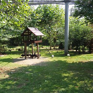 View in large aviary (Aug 28th, 2018)