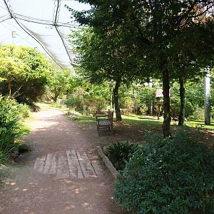 View in large aviary (Aug 28th, 2018)