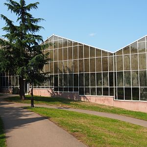 Tropical hall (Aug 28th, 2018)