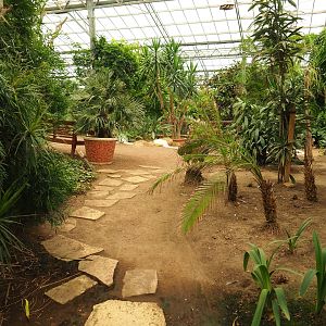 View in Tropical hall (Aug 28th, 2018)