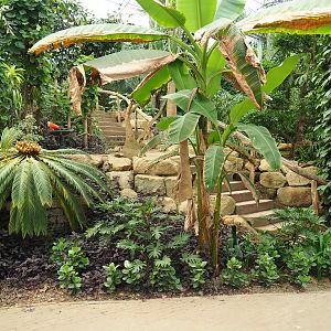 View in Tropical hall (Aug 28th, 2018)