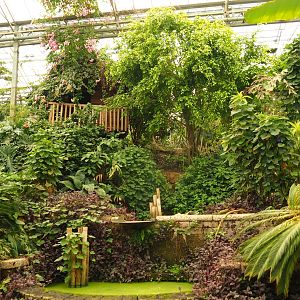 View in Tropical hall (Aug 28th, 2018)