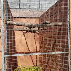 Conure-aviary