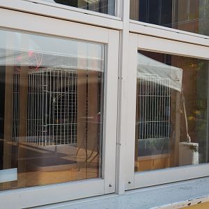 Raising cage for curl-crested aracari chick in staff room (Aug 28th, 2018)