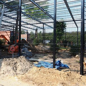 Construction of Sri Lankan leopard exhibits (Aug 28th, 2018)