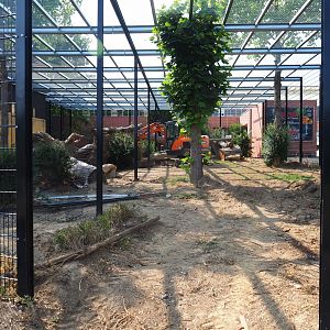 Construction of Sri Lankan leopard exhibits (Aug 28th, 2018)