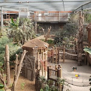 View into the Bamboo Hall