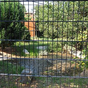Demoiselle crane - Yellow-billed stork - African spoonbill aviary (Aug 28th, 2018)