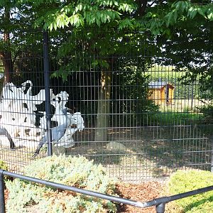 Blue crane exhibit (Aug 28th, 2018)