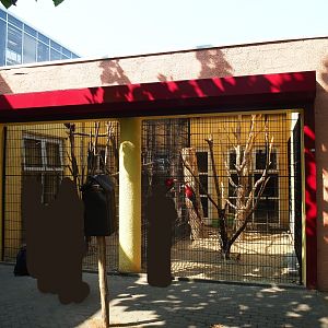 Outdoor macaw aviaries (Aug 28th, 2018)