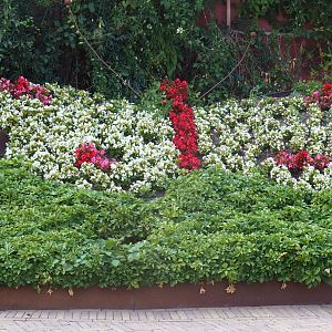 Butterfly shaped planter with flowers near the entrance (Aug 28th, 2018)
