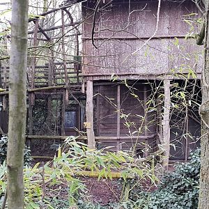 Back-side Indonesian long-house