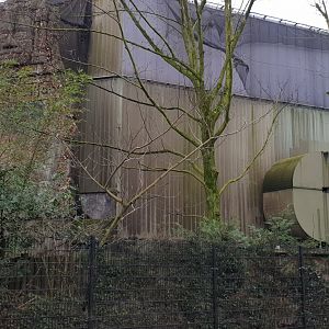 Back-side Elephant-house