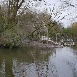 Pelican-pond